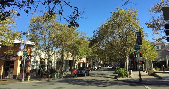 Uncovering the Legacy of Shady Grove Shirley W. McRae