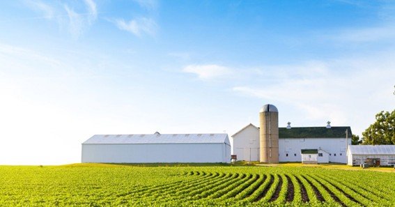 central illinois ag