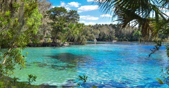 things to do in ocala