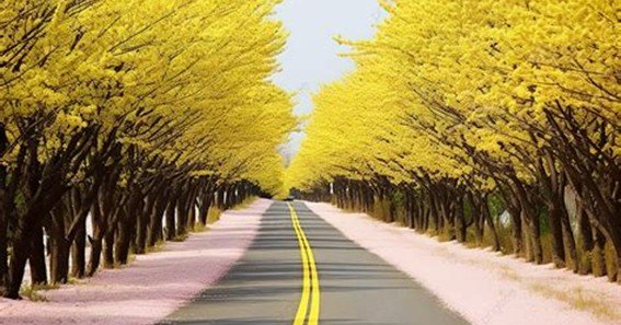 yellow spring road japan